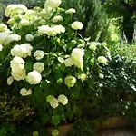 Treindlhof Agroturismo *