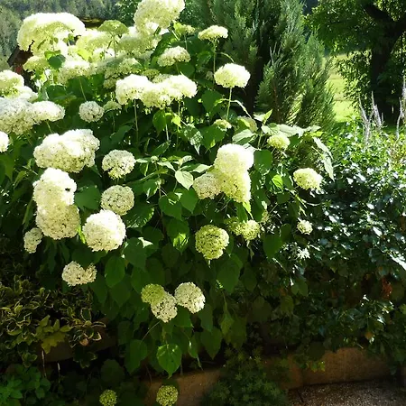 Treindlhof Séjour à la ferme *