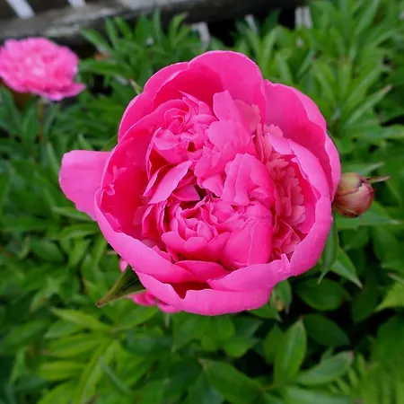 Treindlhof Séjour à la ferme