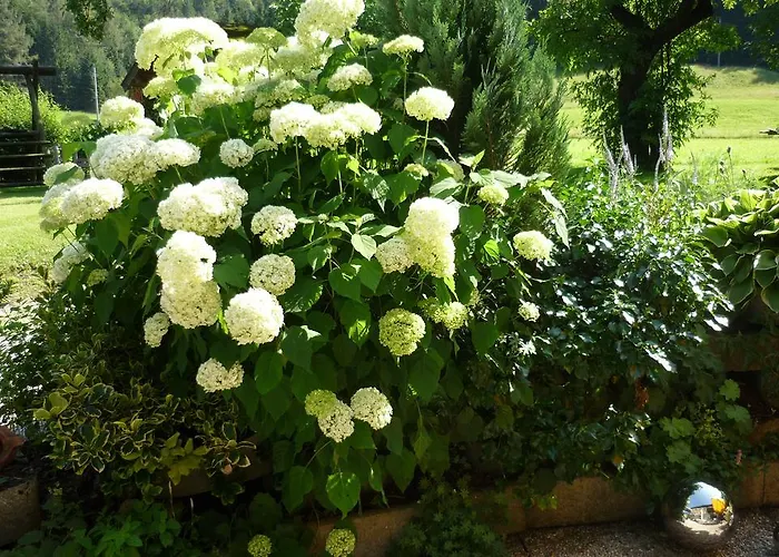 Treindlhof Alloggio per agriturismo *