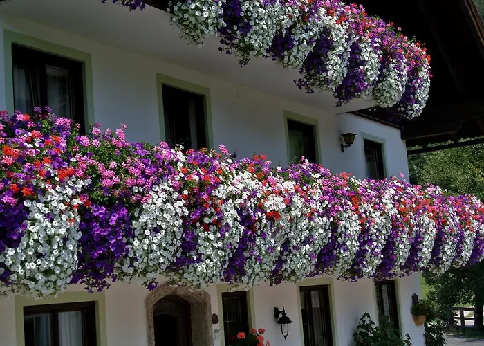 Alojamento de Turismo Rural Treindlhof