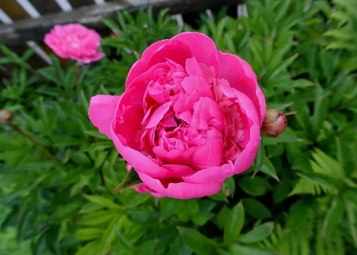 Treindlhof Alojamento de Turismo Rural