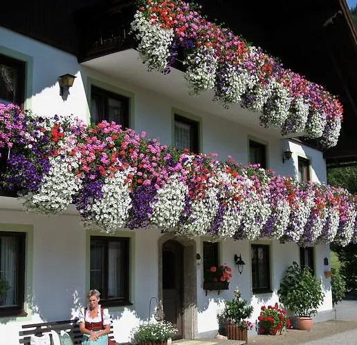 Alojamento de Turismo Rural Treindlhof *